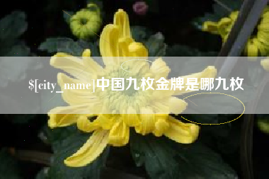 清镇中国九枚金牌是哪九枚
