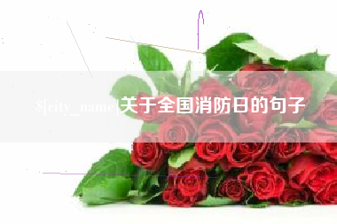 清镇关于全国消防日的句子