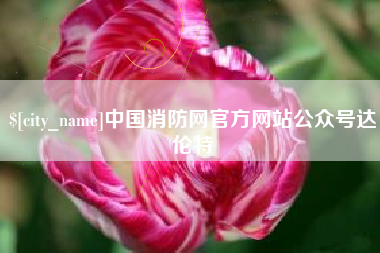 清镇中国消防网官方网站公众号达伦特