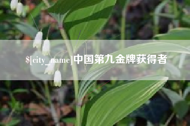 清镇中国第九金牌获得者