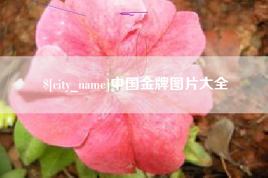 清镇中国金牌图片大全