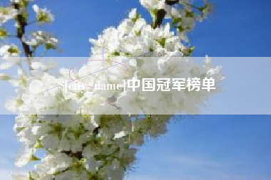 清镇中国冠军榜单