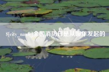 清镇全国消防日是从哪年发起的