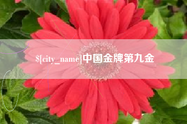 清镇中国金牌第九金