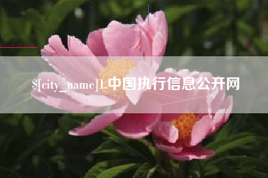 清镇1.中国执行信息公开网