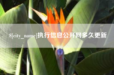 清镇执行信息公开网多久更新