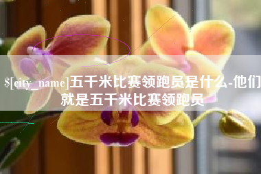 清镇五千米比赛领跑员是什么-他们就是五千米比赛领跑员