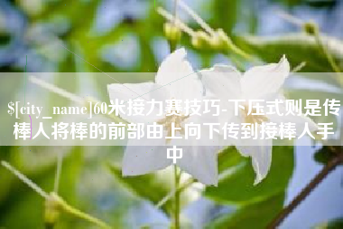 清镇60米接力赛技巧-下压式则是传棒人将棒的前部由上向下传到接棒人手中