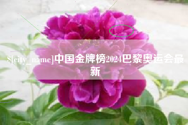 清镇中国金牌榜2024巴黎奥运会最新