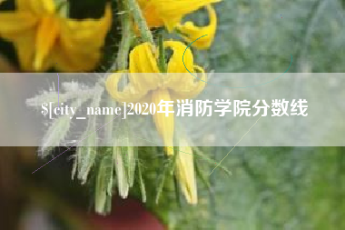 清镇2020年消防学院分数线