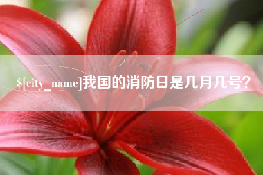 清镇我国的消防日是几月几号？