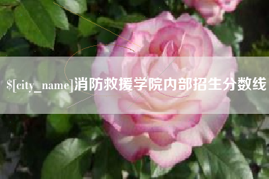 清镇消防救援学院内部招生分数线
