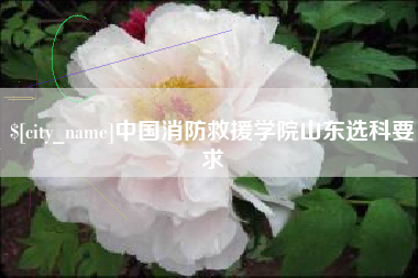 清镇中国消防救援学院山东选科要求