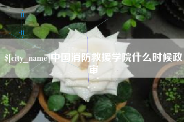 清镇中国消防救援学院什么时候政审