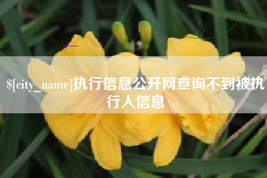 清镇执行信息公开网查询不到被执行人信息