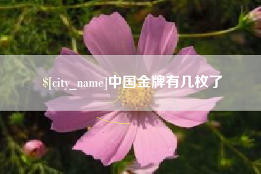 清镇中国金牌有几枚了