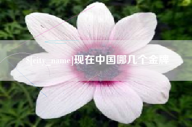 清镇现在中国哪几个金牌