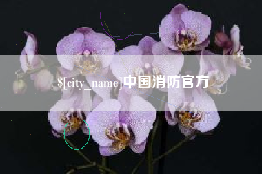 清镇中国消防官方