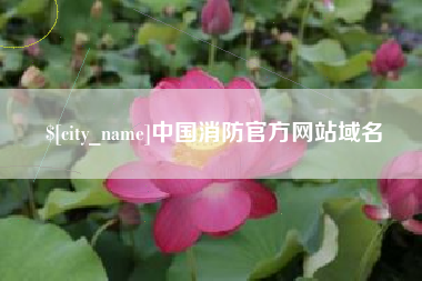 清镇中国消防官方网站域名