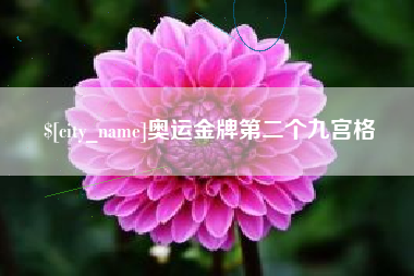 清镇奥运金牌第二个九宫格