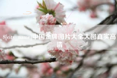 清镇中国金牌图片大全大图真实高清