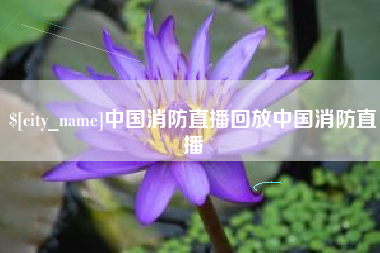 清镇中国消防直播回放中国消防直播