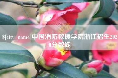 清镇中国消防救援学院浙江招生2020分数线