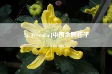 清镇中国金牌样子