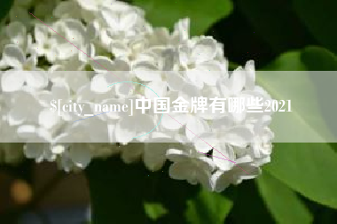 清镇中国金牌有哪些2021
