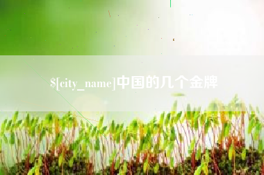 清镇中国的几个金牌