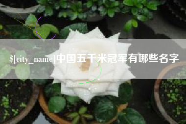 清镇中国五千米冠军有哪些名字