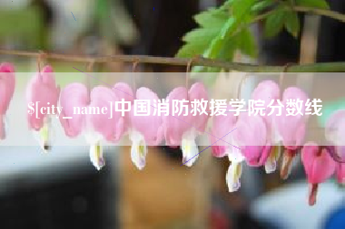 清镇中国消防救援学院分数线
