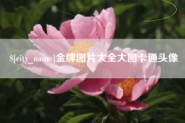 清镇金牌图片大全大图卡通头像
