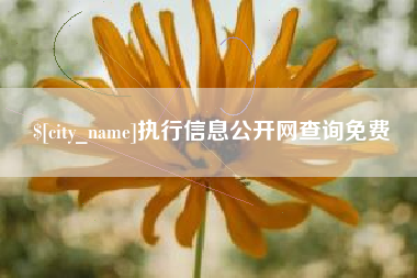 清镇执行信息公开网查询免费