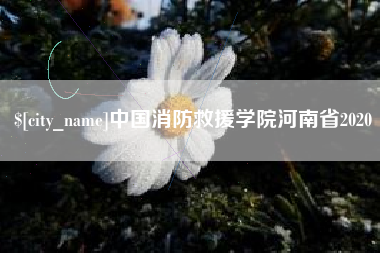 清镇中国消防救援学院河南省2020